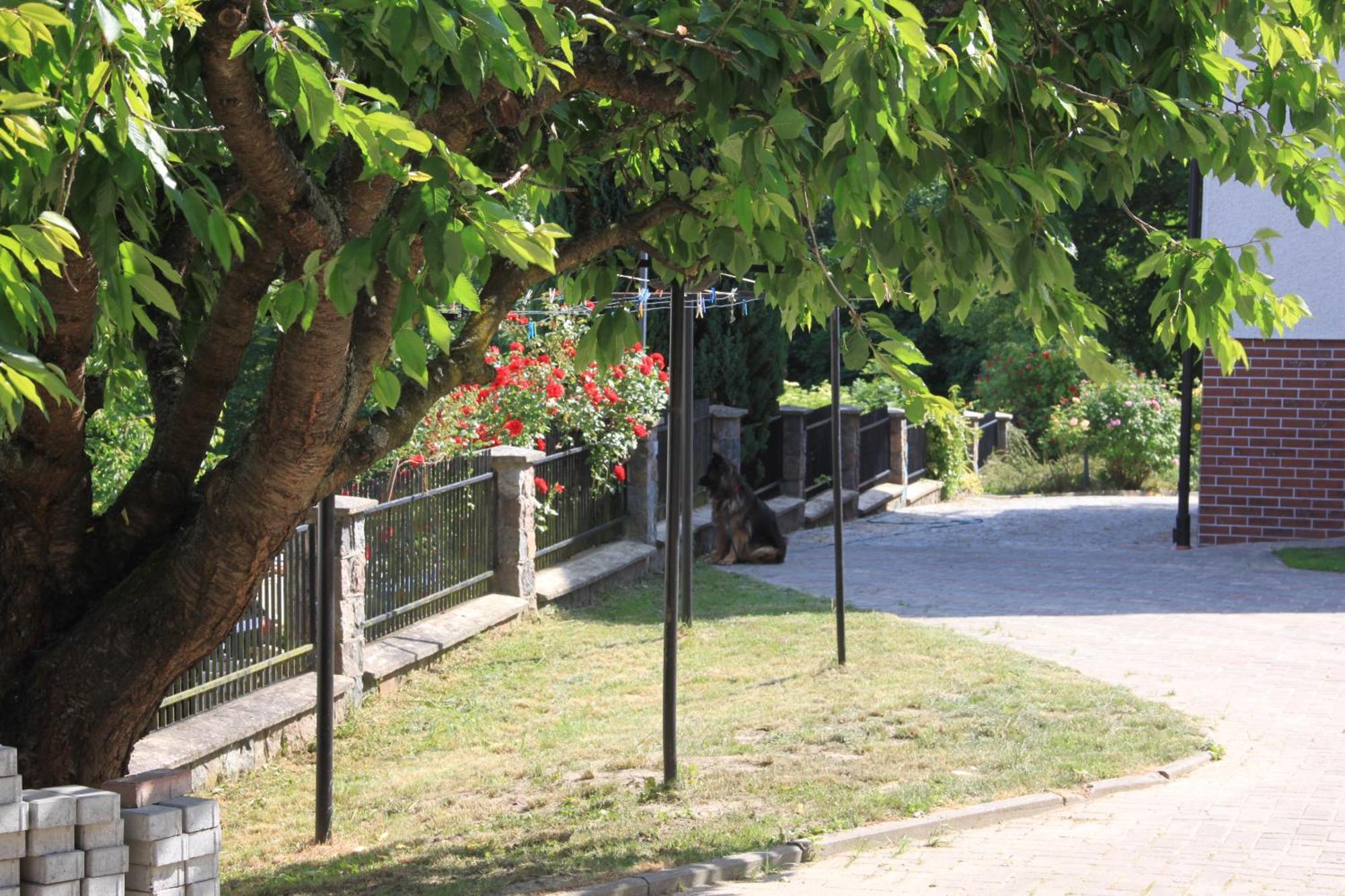 Mira - Mira Pokoje Z Widokiem Na Jezioro Chmielno Exterior foto